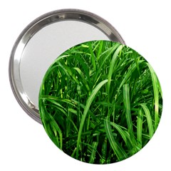 Grass 3  Handbag Mirror by Siebenhuehner