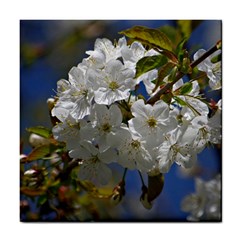 Cherry Blossom Ceramic Tile by Siebenhuehner