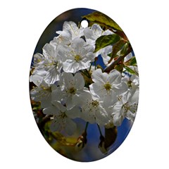 Cherry Blossom Oval Ornament by Siebenhuehner