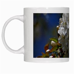 Cherry Blossom White Coffee Mug by Siebenhuehner