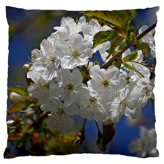 Cherry Blossom Large Cushion Case (single Sided)  by Siebenhuehner