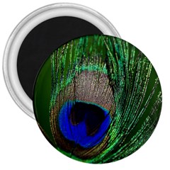Peacock 3  Button Magnet by Siebenhuehner