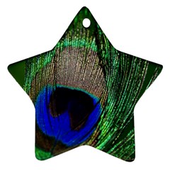 Peacock Star Ornament by Siebenhuehner