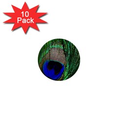 Peacock 1  Mini Button (10 Pack) by Siebenhuehner