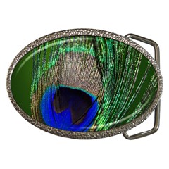 Peacock Belt Buckle (oval) by Siebenhuehner