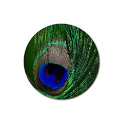 Peacock Drink Coasters 4 Pack (round) by Siebenhuehner