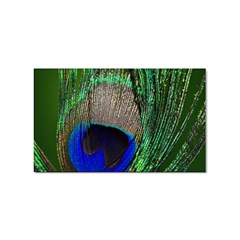 Peacock Sticker 10 Pack (rectangle)