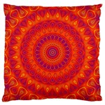 Mandala Large Cushion Case (Single Sided)  Front