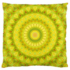 Mandala Large Cushion Case (single Sided)  by Siebenhuehner