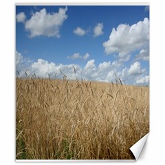Grain And Sky Canvas 8  X 10  (unframed)