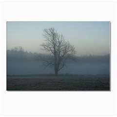 Foggy Tree Postcards 5  X 7  (10 Pack)