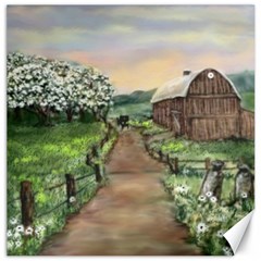  amish Apple Blossoms  By Ave Hurley Of Artrevu   Canvas 20  X 20 