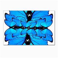 Butterfly Art Blue&cyan Postcard 4 x 6  (10 Pack)
