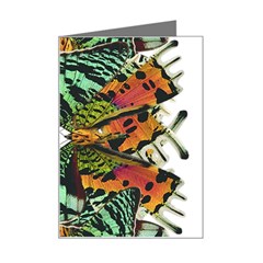 Butterfly Art Green & Orange Mini Greeting Card