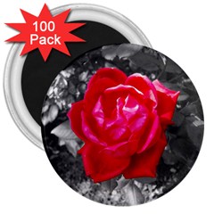 Red Rose 3  Button Magnet (100 Pack)