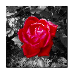 Red Rose Face Towel by jotodesign