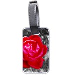 Red Rose Luggage Tag (Two Sides) Back