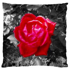 Red Rose Large Cushion Case (single Sided)  by jotodesign