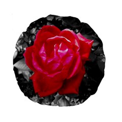 Red Rose 15  Premium Round Cushion 