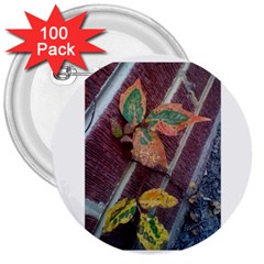 A Leaf In Stages 3  Button (100 Pack) by WispsofFantasy