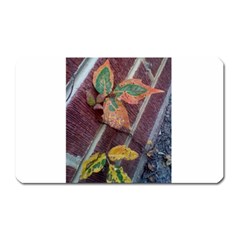 A Leaf In Stages Magnet (rectangular) by WispsofFantasy