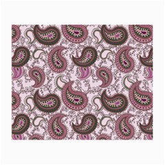 Paisley In Pink Glasses Cloth (small) by StuffOrSomething