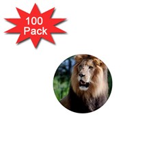 Regal Lion 1  Mini Button Magnet (100 Pack) by AnimalLover