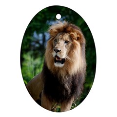 Regal Lion Oval Ornament (two Sides) by AnimalLover