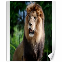 Regal Lion Canvas 16  X 20  (unframed) by AnimalLover