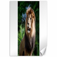 Regal Lion Canvas 20  X 30  (unframed) by AnimalLover
