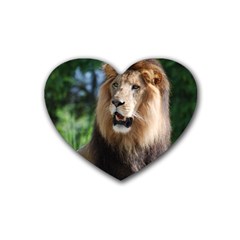 Regal Lion Drink Coasters (heart)