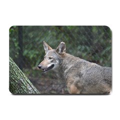 Shdsc 0417 10502cow Small Door Mat by AnimalLover