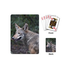 Shdsc 0417 10502cow Playing Cards (mini) by AnimalLover