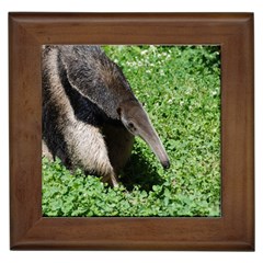 Giant Anteater Framed Ceramic Tile