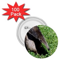 Giant Anteater 1 75  Button (100 Pack)