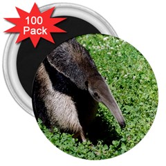 Giant Anteater 3  Button Magnet (100 Pack) by AnimalLover