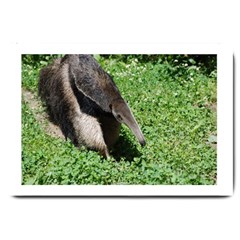 Giant Anteater Large Door Mat by AnimalLover