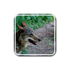 Red Wolf Drink Coaster (square) by AnimalLover