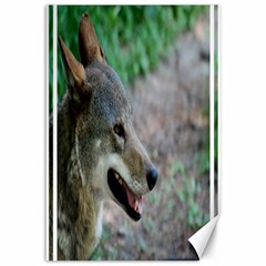 Red Wolf Canvas 12  X 18  (unframed) by AnimalLover