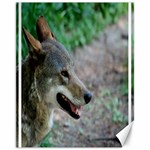 Red Wolf Canvas 11  x 14  9 (Unframed) 10.95 x13.48  Canvas - 1