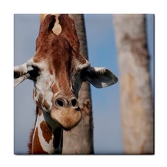 Cute Giraffe Ceramic Tile by AnimalLover