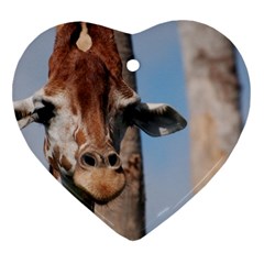 Cute Giraffe Heart Ornament by AnimalLover