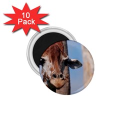 Cute Giraffe 1 75  Button Magnet (10 Pack) by AnimalLover