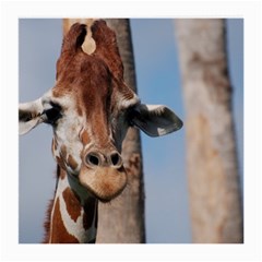 Cute Giraffe Glasses Cloth (medium, Two Sided) by AnimalLover