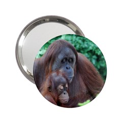 Orangutan Family Handbag Mirror (2 25 ) by AnimalLover