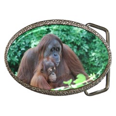 Orangutan Family Belt Buckle (oval)