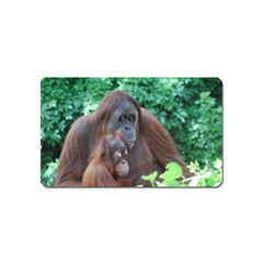 Orangutan Family Magnet (name Card)