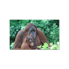Orangutan Family Sticker 10 Pack (rectangle)