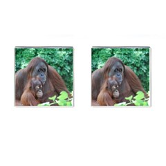 Orangutan Family Cufflinks (square) by AnimalLover