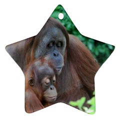 Orangutan Family Star Ornament (two Sides) by AnimalLover